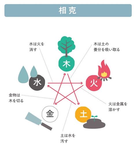 金剋木化解|【金剋木】正確應用方式，五行相生也相剋 